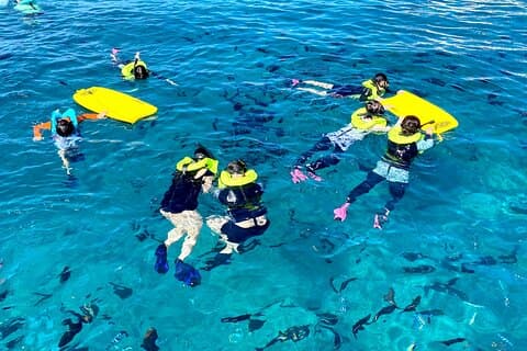 Waikiki Turtle Snorkeling Adventure (8:00)