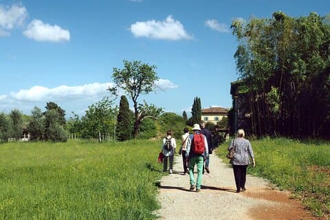 La Dolce Vita of the renaissance - Half-Day Walking Tour
