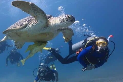 Full Day Experience in Marsa Mubarak with Diving and Lunch