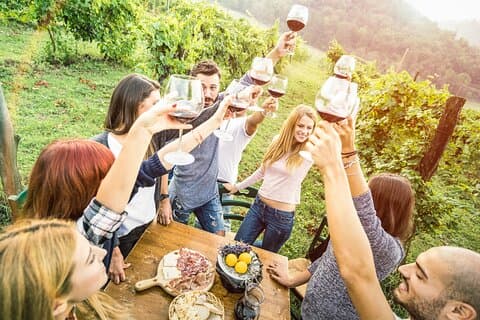 Privat rundvisning på Peljesac-halvøen med valgfri vinsmagning