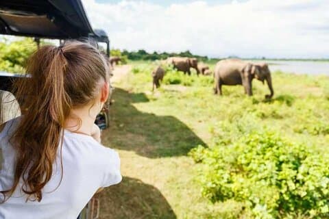 Jeep Safari till Udawalawa National Park, Budget Tour från Colombo