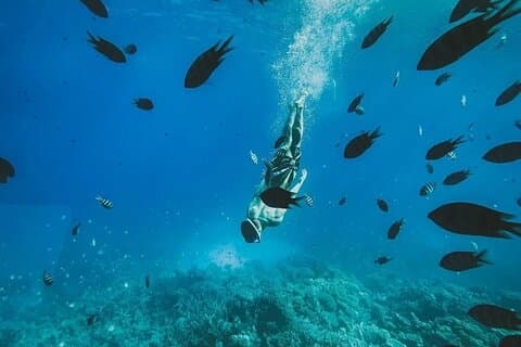 Sataya Dolphin House: snorkelervaring van een hele dag