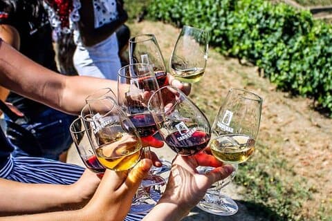Douro Valley Privat rundtur med provsmakning ingår