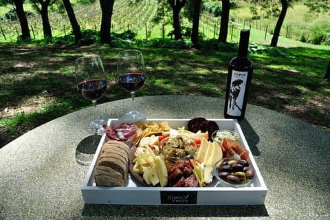 Cata de vinos de medio día en Salta