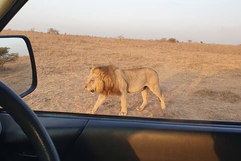 8 Days 7 Nights Safari Package in Kenya Private Tour