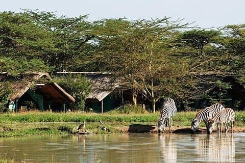 Excursão de 6 dias a Samburu Sweetwaters Lake Nakuru e Lake Naivasha