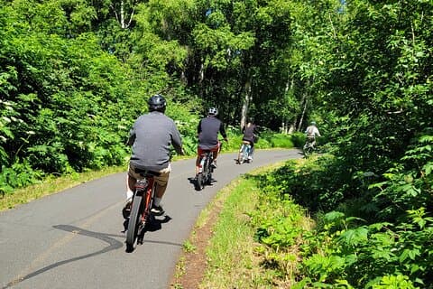 Exclusivo da Viator: vá de eBike Alaska na trilha Tony Knowles