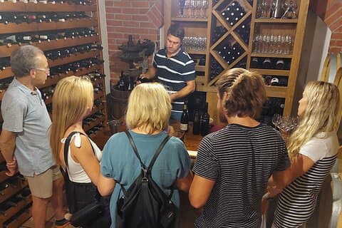 Pelješac Wine Tour from Dubrovnik: Taste the Best