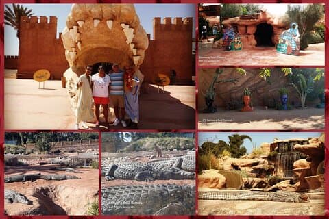 Viaggio a Croco Park
