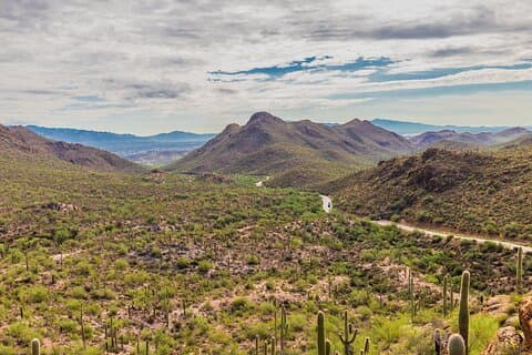 Saguaro National Park Self-Guided Audio Tour