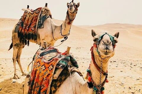 Excursion de luxe de 5 jours dans le désert de Marrakech 2025