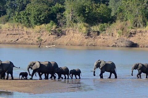 Pirschfahrt und Rhino Walk