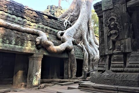 Angkor ikoniska tempel med soluppgång