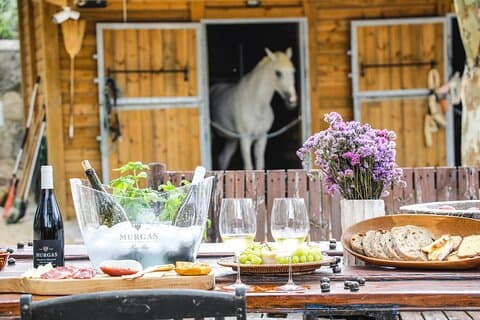 Degustação de Vinhos na Quinta das Murgas