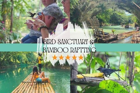 Vogelreservaat en/of Lethe Bamboo Rafting vanuit Montego Bay