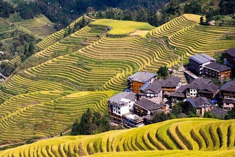 Longji Rice Terrace Privat dagstur fra Yangshuo
