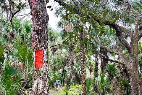 Guided Day Hike Through Florida's wild Backcountry.