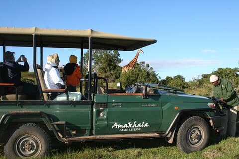5 dagar Big 5 Safari upplevelse på Amakhala och Addo Elephant Park