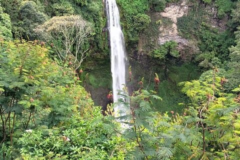 Jardin botanique de Jakarta Bogor, cascade et terrasse de riz, déjeuner