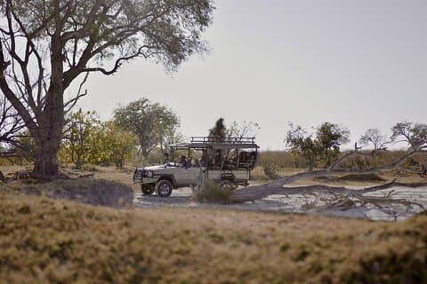 8 Tage Chobe NP, Elefantensand, Okavango Delta & Victoria Falls