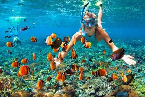 4 Hours Private Tour with Snorkeling and West Bay Beach Break