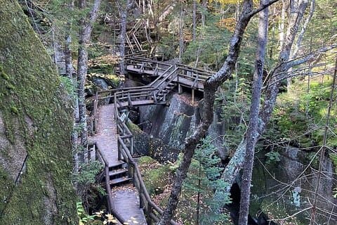 Gita di un giorno a White Mountains, Lost River Gorge