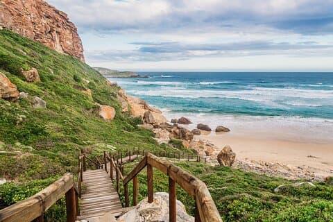 Multi Day Tour Garden Route Cape Town to Durban