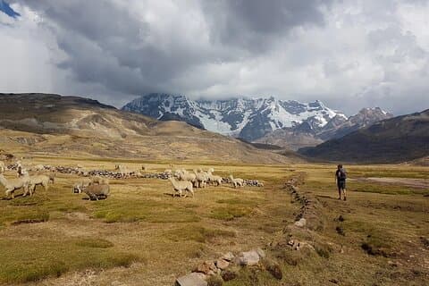 Ausangate Trek 4 Days - Huaynas Expeditions