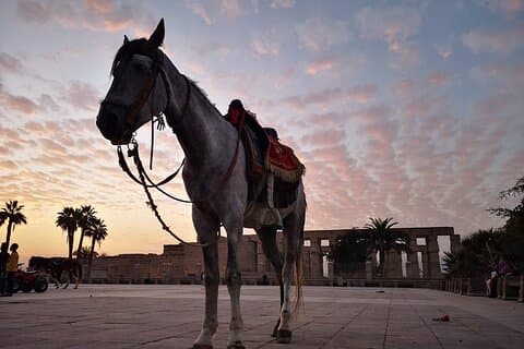 Gita di un giorno intero a Luxor in aereo dal Cairo