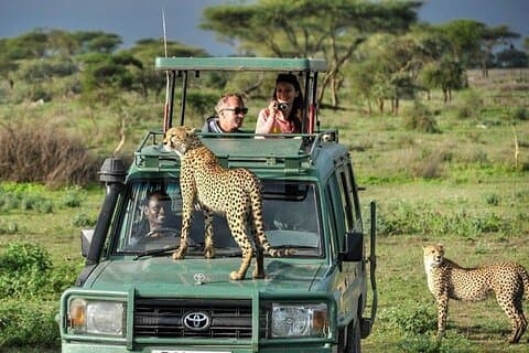 4 giorni 3 notti Riserva nazionale Samburu Safari sul lago Nakuru
