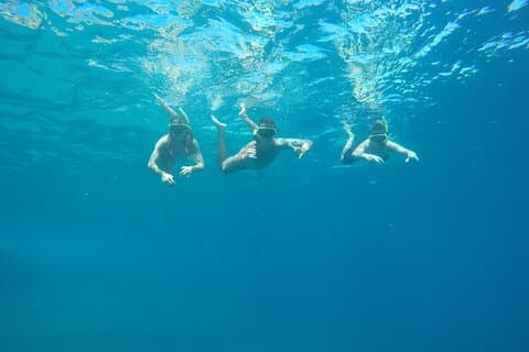 Tijuca Islands Snorkeling & Whale Watching Boat Tour from Rio