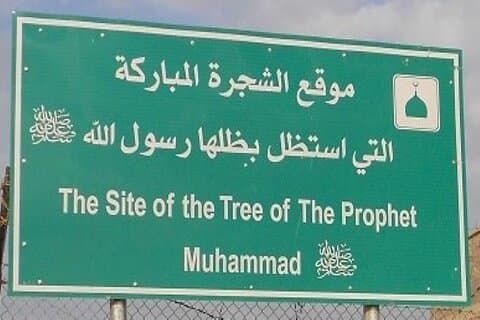 Jordan Islamic Private Tour: Muhammad’s Tree & The Sleepers Cave