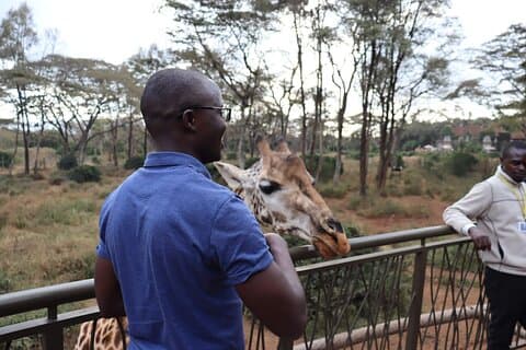 Den ultimative Nairobi City Tour og giraf fodring oplevelse