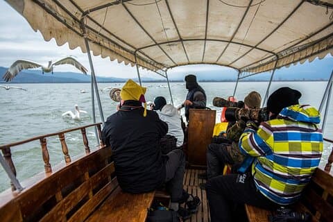 Kingdom of the Pelicans in Lake Kerkini Photography Workshop