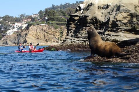 La Jolla Kayak Rental for two people (Tandem)