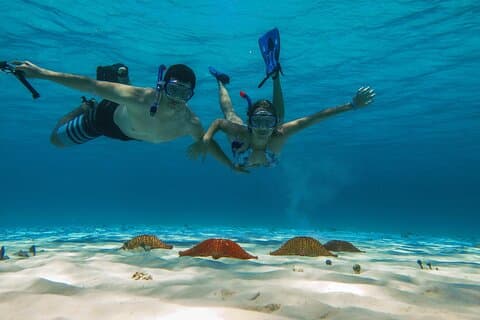Cozumel 3 reefs Båttur med drikke og snorkling