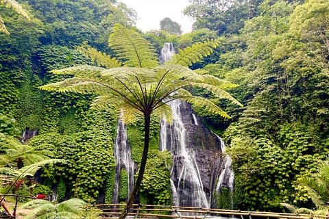 Cascadas secretas de Bali: Cascadas de Banyumala y Leke Leke