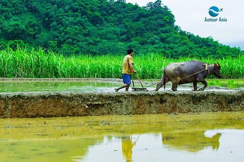 2-dagers privat guidet tur i Pu Luong Nature Hanoi