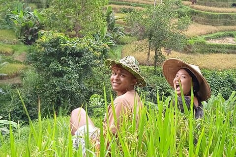 Ubud Highlights : Heiliger Affenwald, Reisterrassen, Wasserfall