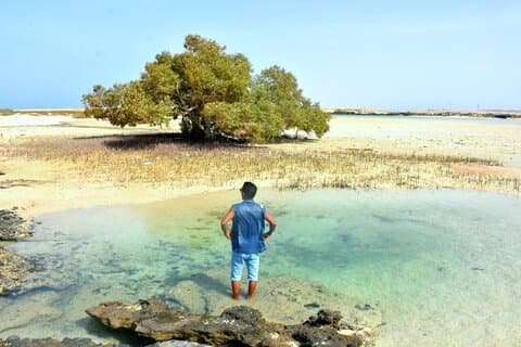 Parco nazionale Wady Elgemal Marsa alam