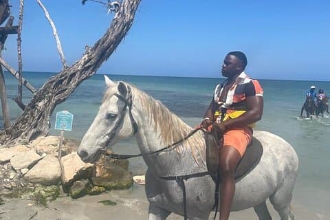 Private Dunns River Falls og ridning