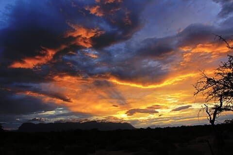 Exclusive Sunset Game Drive Safari near Hoedspruit
