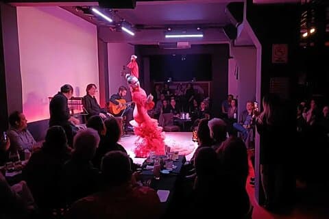 Flamenco Live Show and Dinner in Mexico City