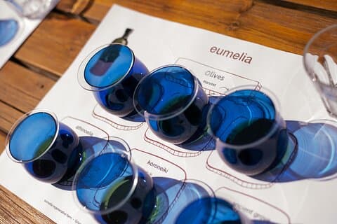 Olivenoljesmaking i en gammel olivenlund - Peloponnes, Hellas