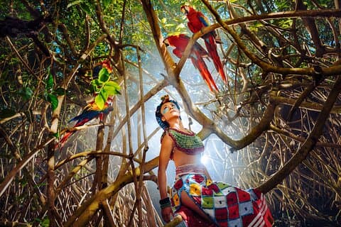 Zugang zum Xcaret Park Plus mit Transport und Nachtshow