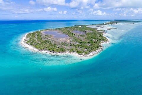 Mangrove Cay och Iguana Island Tours