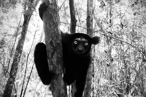 Tour Privado Natureza e Descoberta em Madagáscar