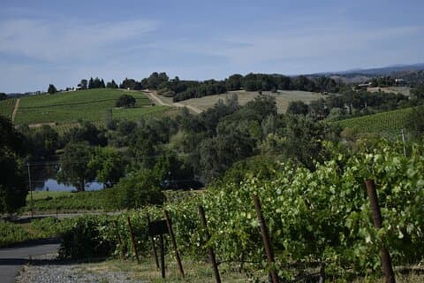 Apple Hill Wine Tasting Tours And Placerville wine tasting tours