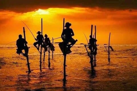 12 Days All-Inclusive Classic Tour in Sri Lanka