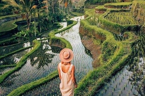 Privédagtour Ubud Explorer